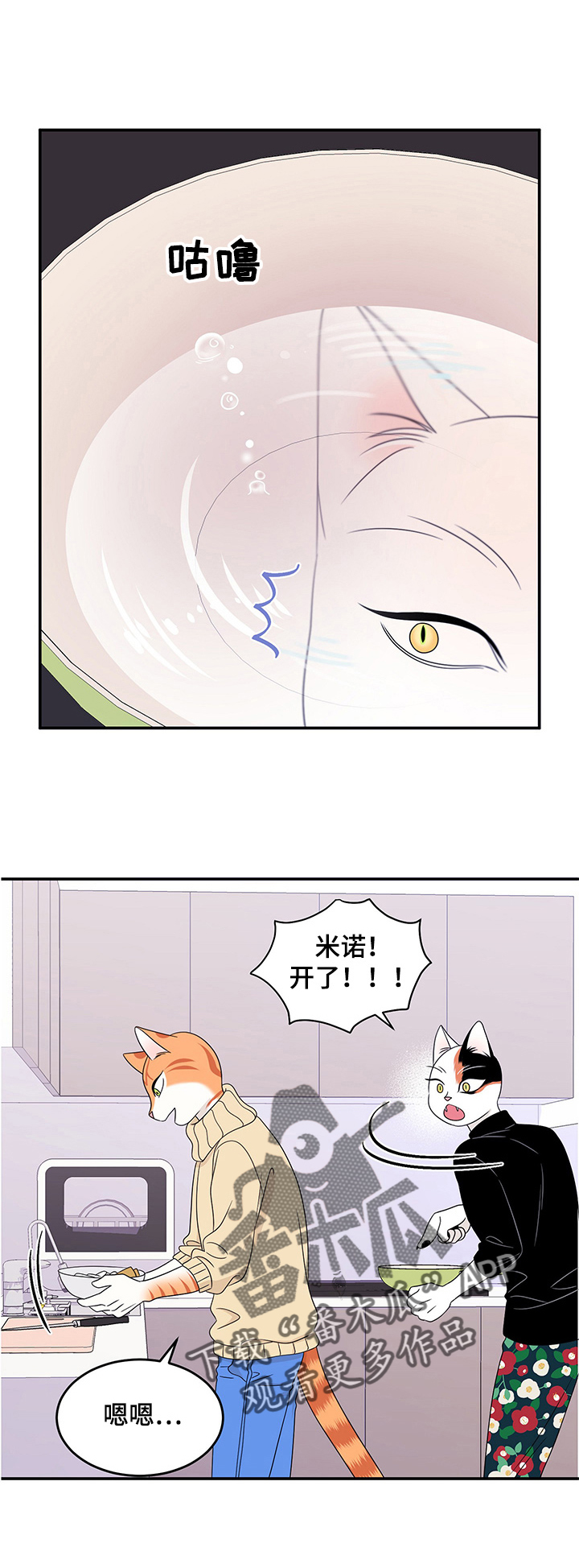 灵猫传陆知也漫画,第10章：期待2图