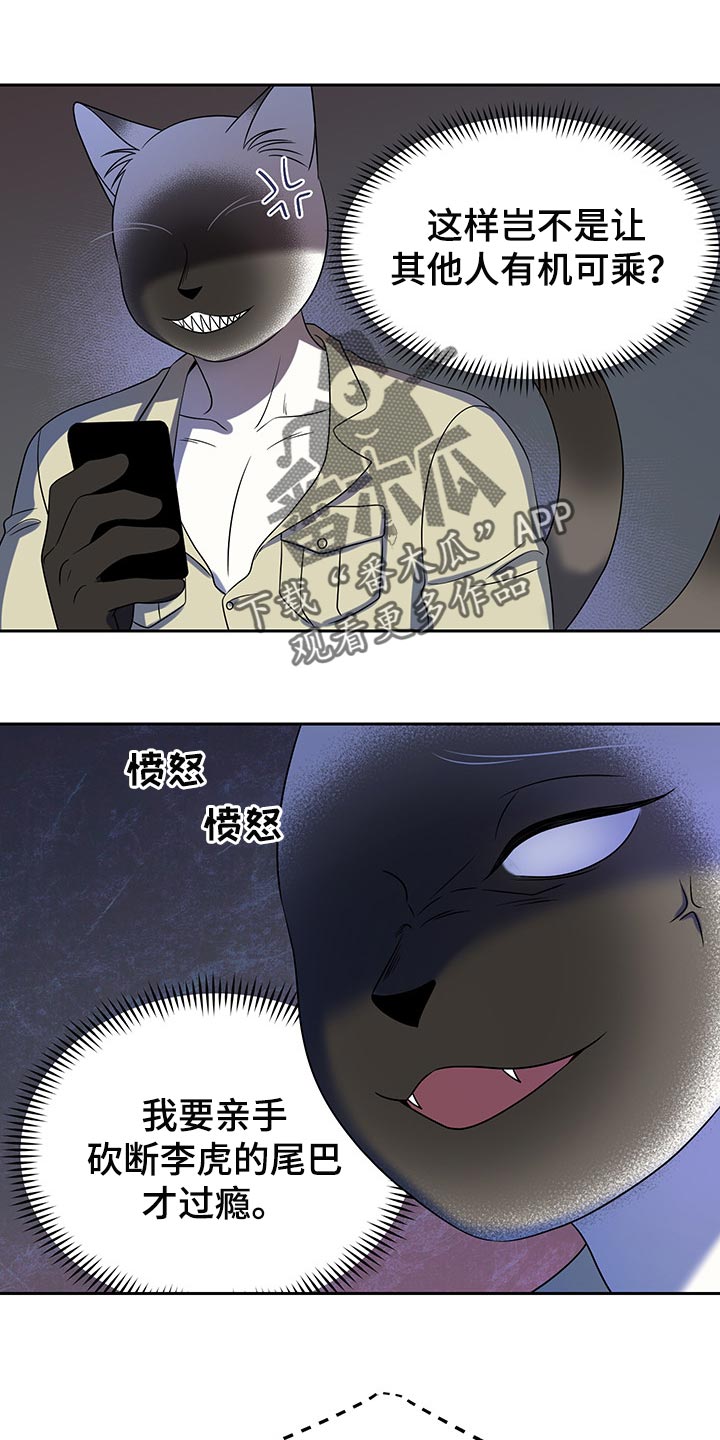 灵猫欧米伽漫画,第40章：平凡的生活1图