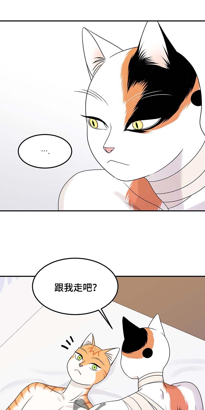 灵猫欧米伽完整版漫画,第48章：你慢慢考虑1图