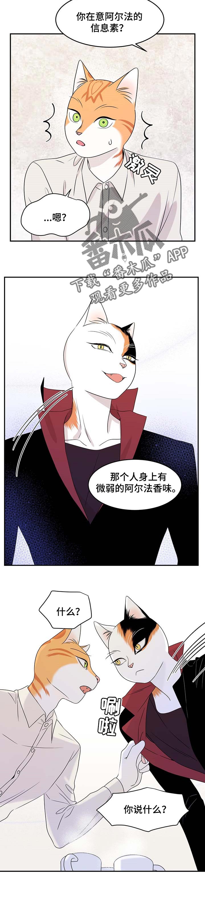 灵猫欧米伽是双男主吗漫画,第24章：可惜2图