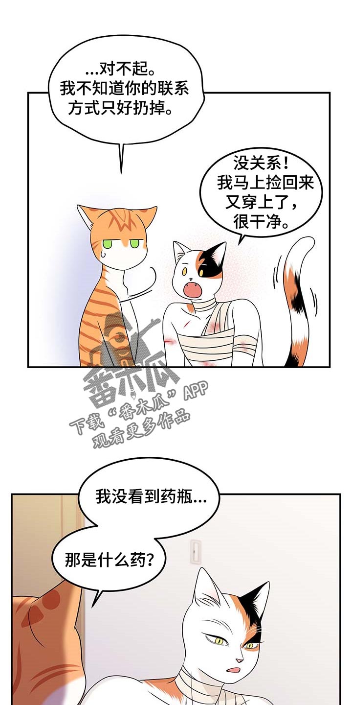 灵猫欧米伽漫画免费观看漫画,第48章：你慢慢考虑1图