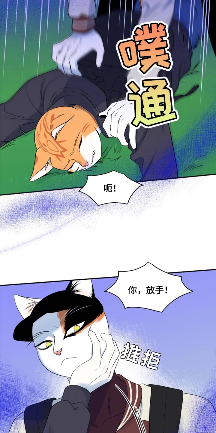 灵猫欧米伽漫画免费双男主漫画,第61章：【第二季】不想伤害他1图