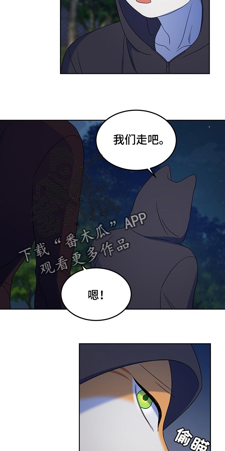 灵猫欧米伽大结局漫画,第39章：撤离2图