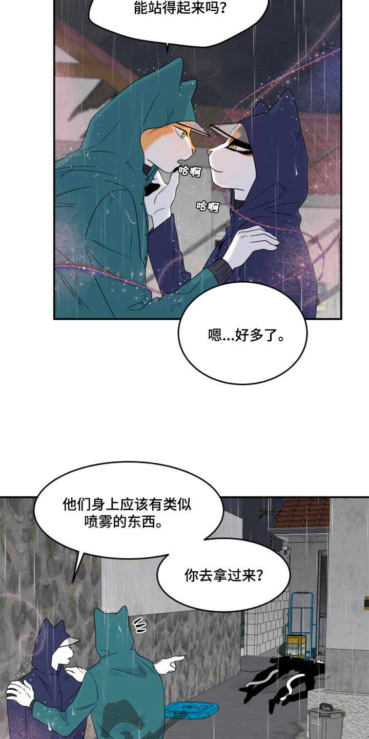 灵猫传汪苏泷漫画,第53章：【第二季】逃跑之路2图