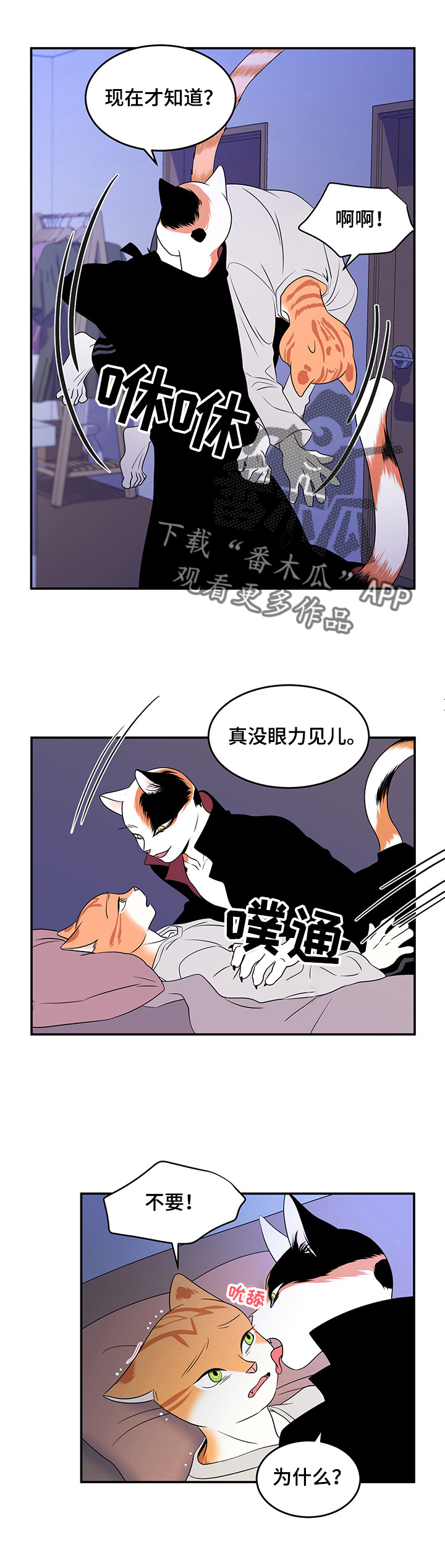 灵猫欧米伽完整版漫画,第3章：送抱1图