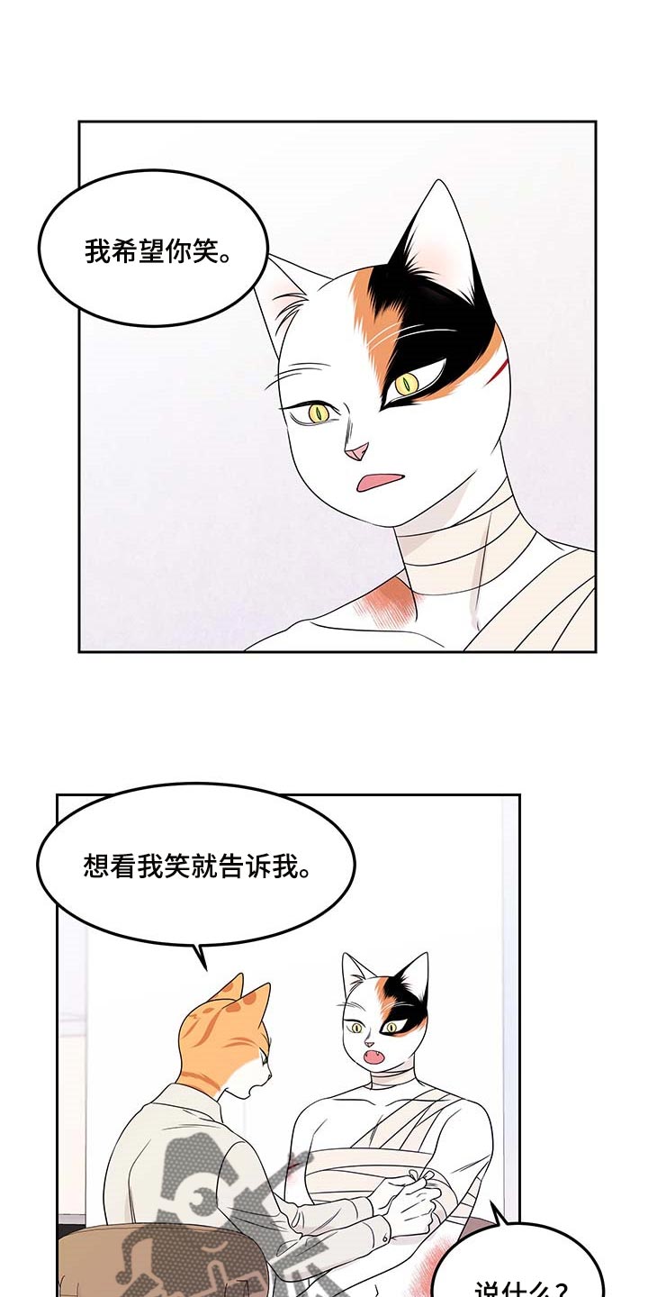 灵猫欧米伽是什么意思漫画,第46章：征服1图