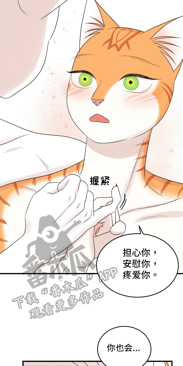 灵猫欧米伽2漫画,第106章：【第二季】求婚2图