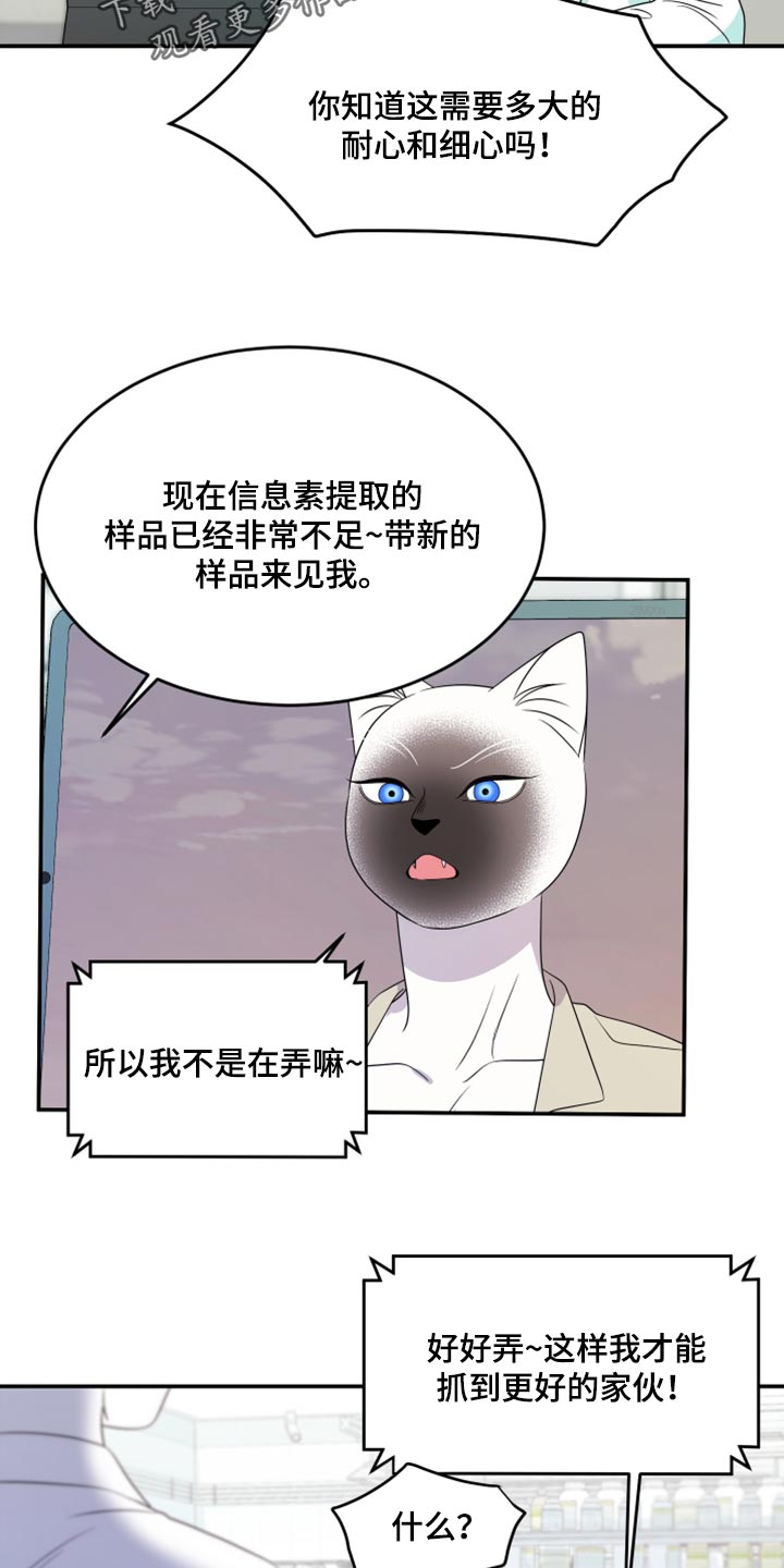 灵猫欧米伽完整版漫画,第57章：【第二季】新来的2图