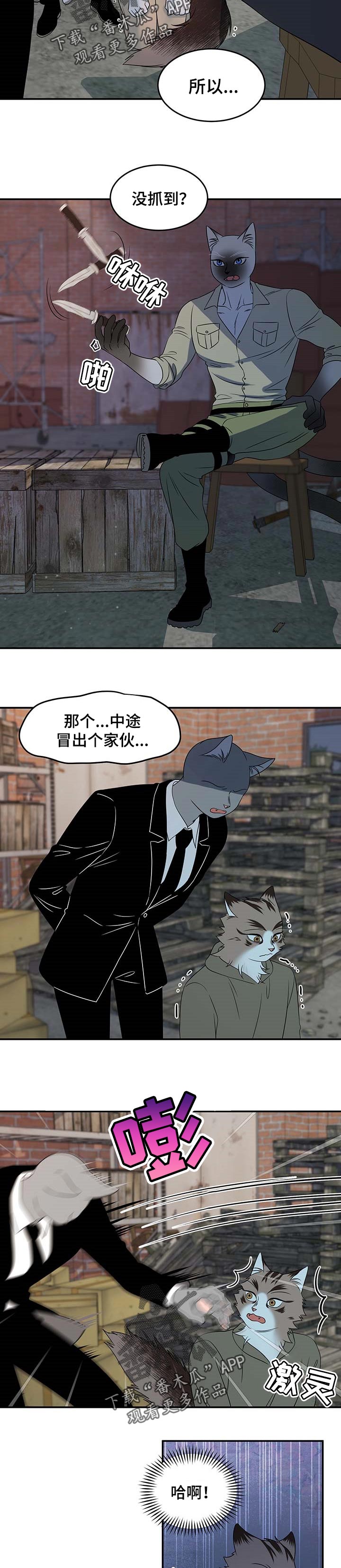 灵猫欧米茄画涯漫画,第31章：叫他出来2图