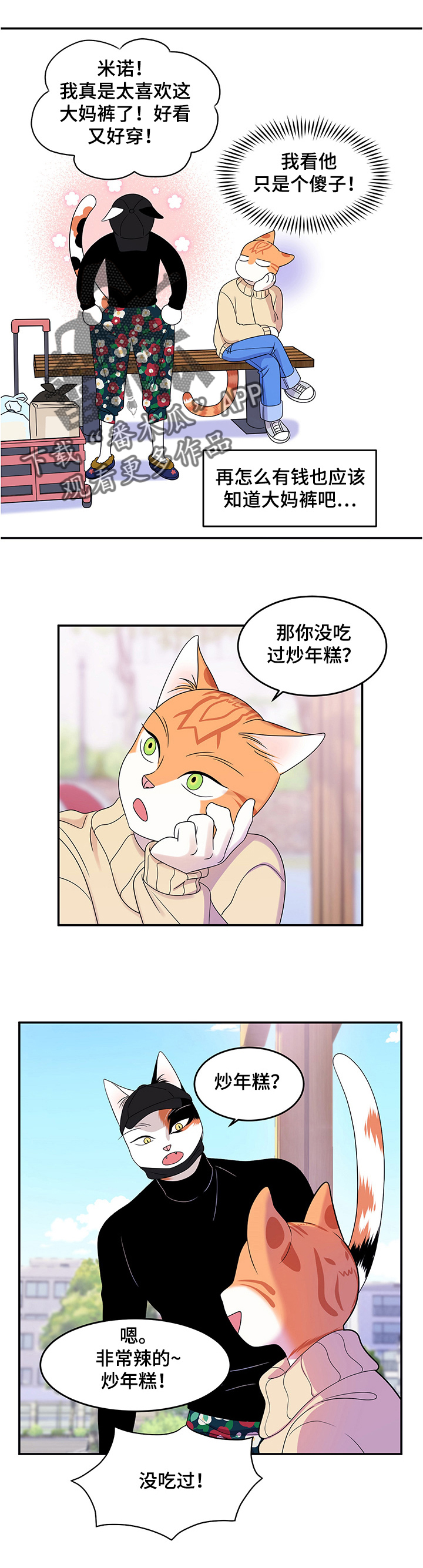 灵猫是什么动物漫画,第10章：期待1图