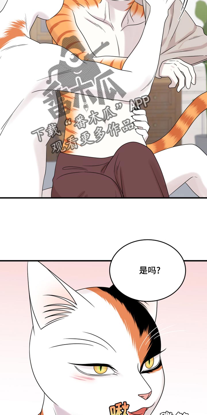 灵猫欧米伽第三季什么时候出漫画,第91章：【第二季】暴走之前2图