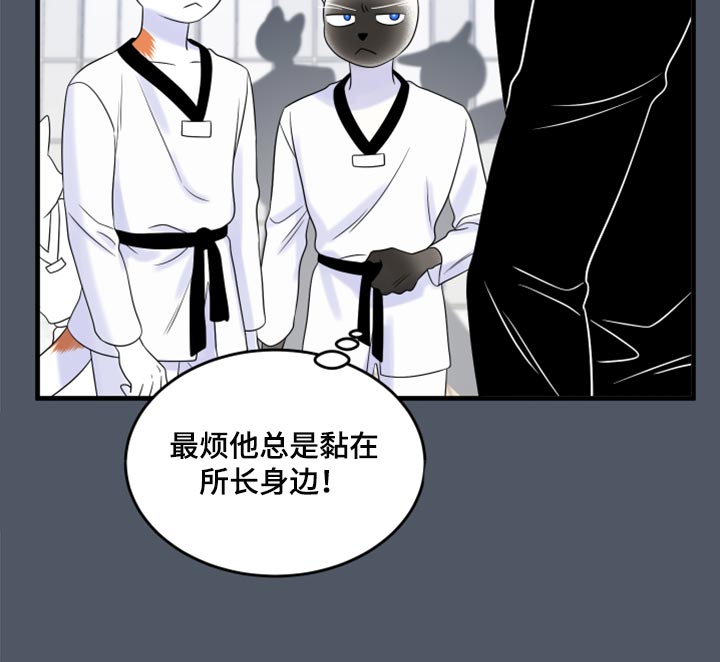 漫画灵猫欧米伽漫画,第76章：【第二季】有什么特别1图