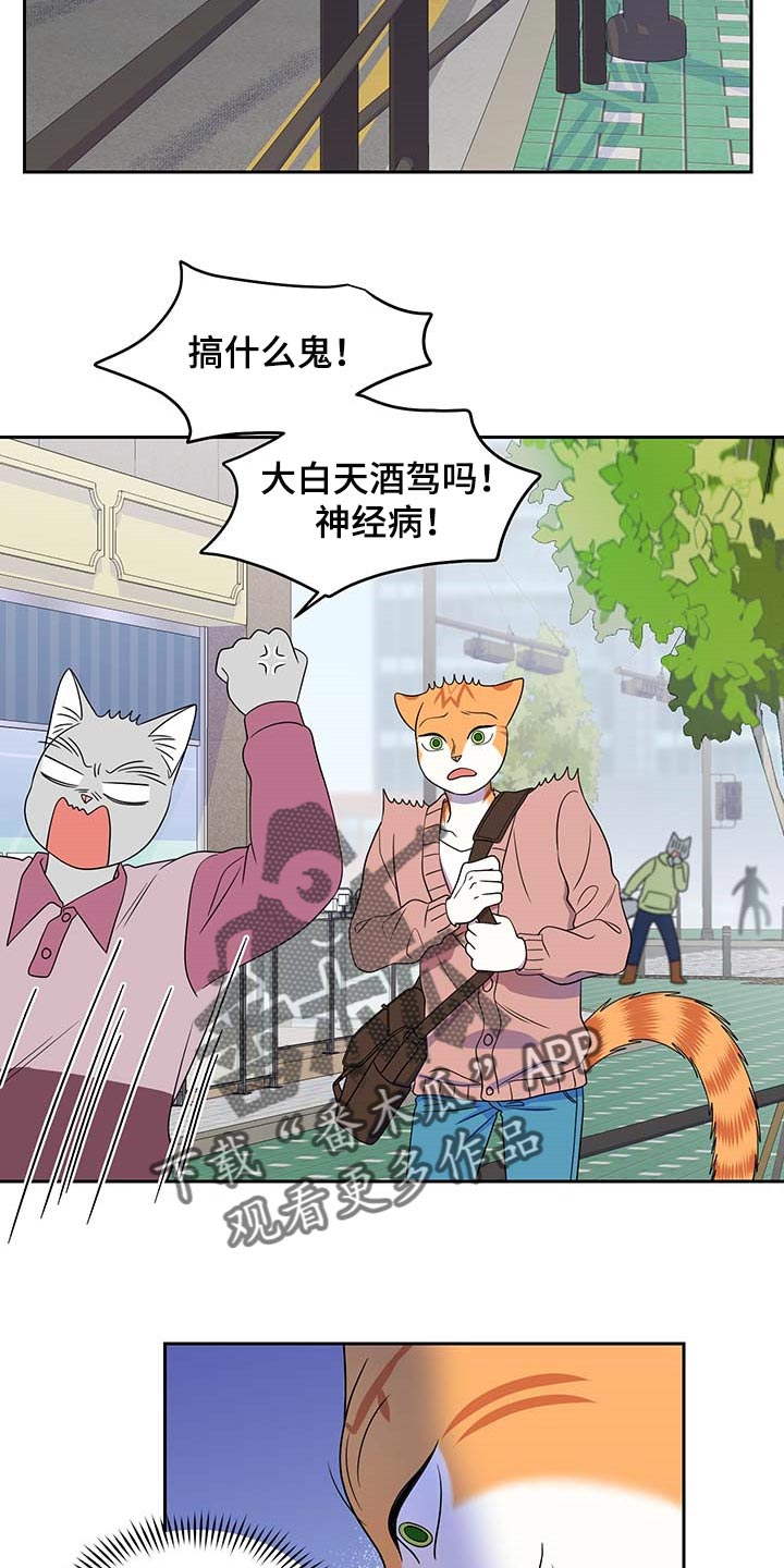 灵猫欧米伽漫画全集免费观看漫画,第42章：联系方式1图