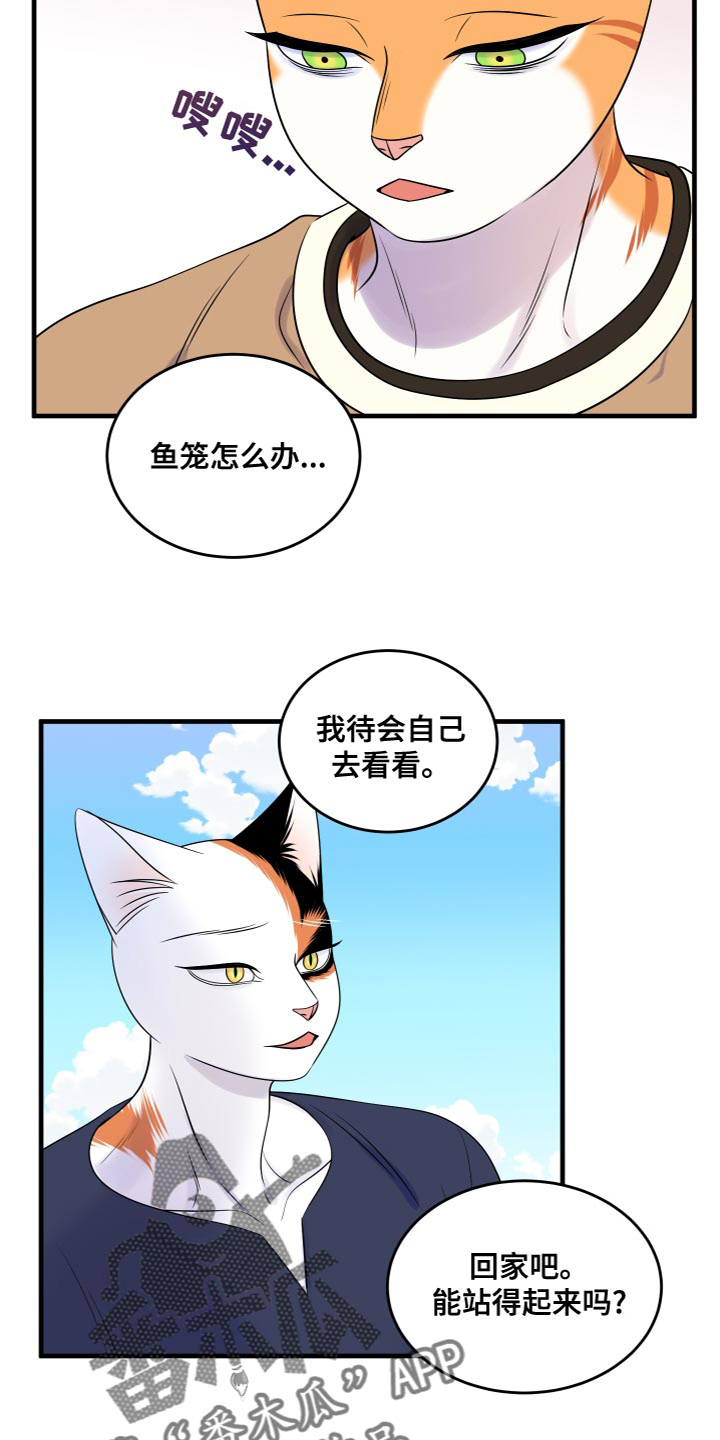 灵猫欧米伽漫画在哪里看漫画,第95章：【第二季】害怕洞穴2图