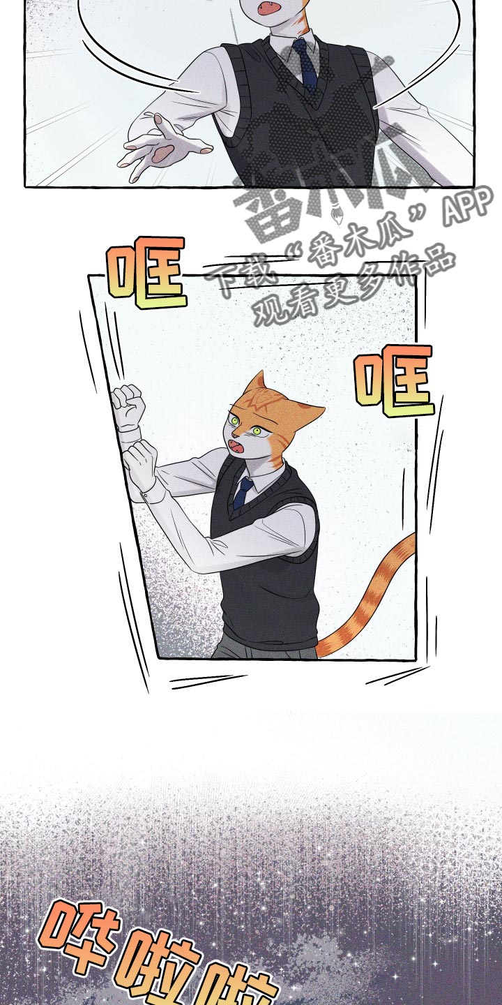 灵猫欧米伽视频漫画,第97章：【第二季】噩梦1图