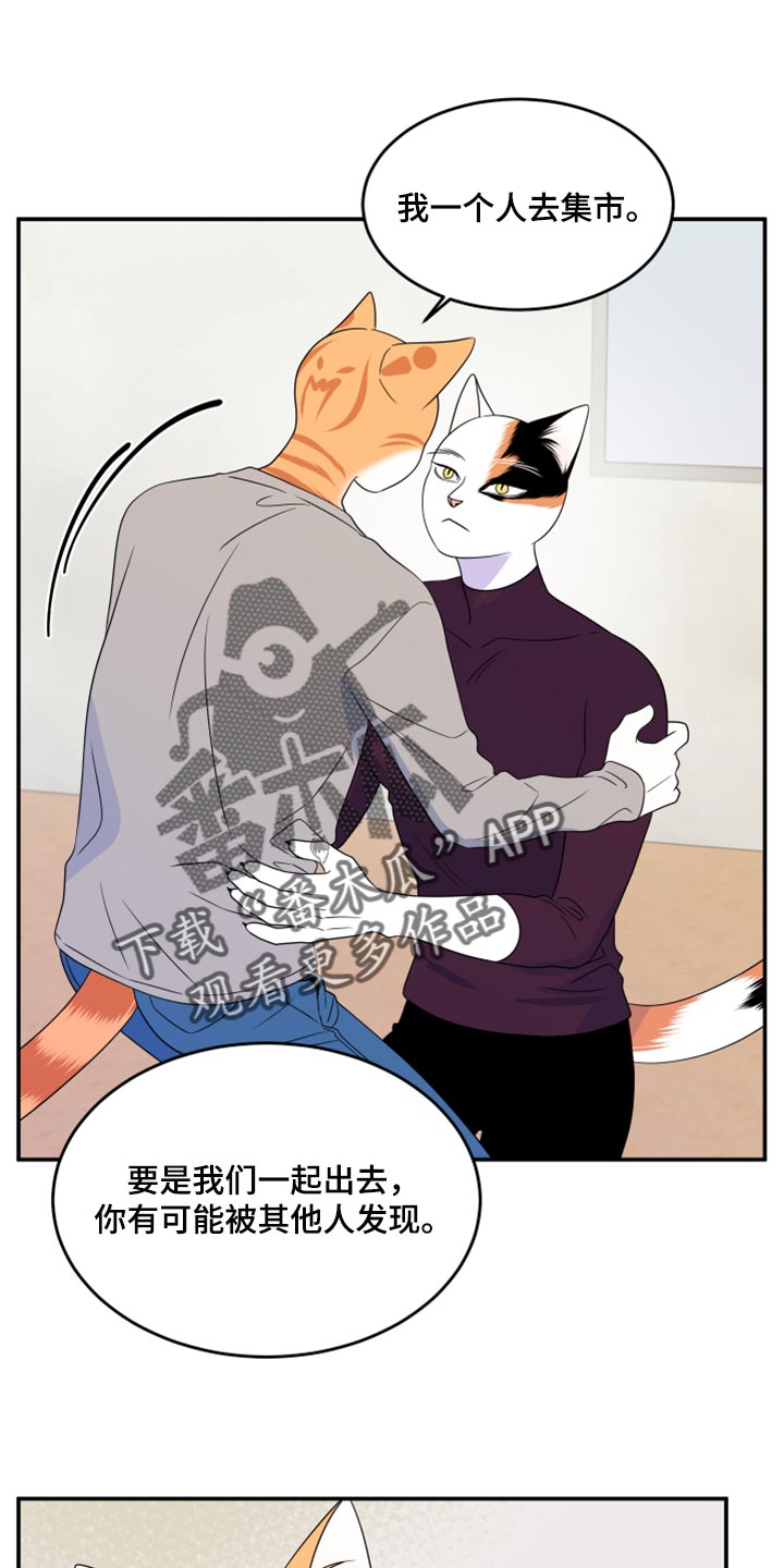 灵猫小说漫画,第55章：【第二季】你再坚持一下1图