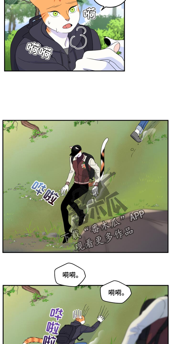 灵猫欧米伽2漫画,第60章：【第二季】失去理智2图