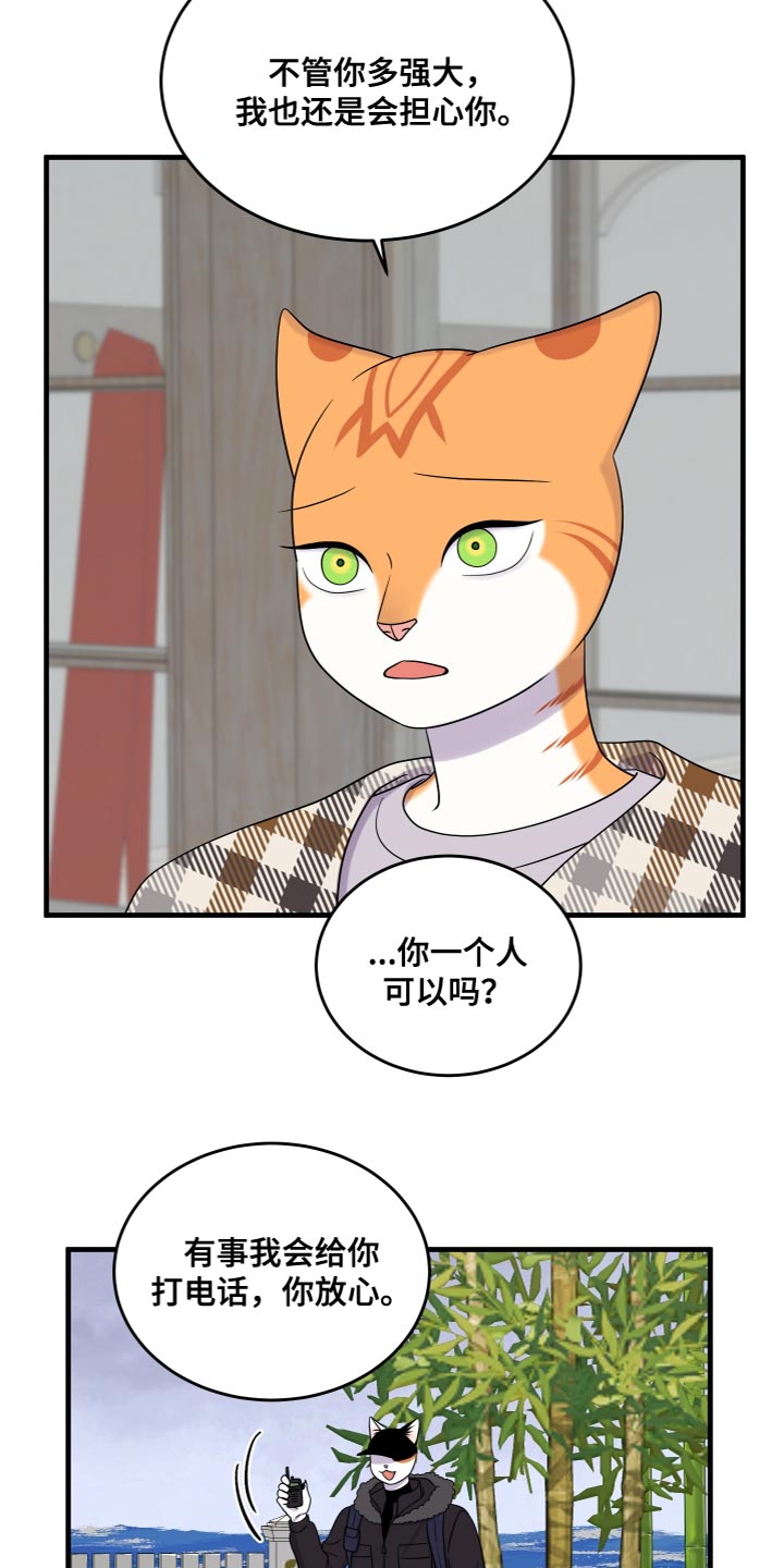 灵猫科和猫科的区别漫画,第108章：【第二季】我很强大1图