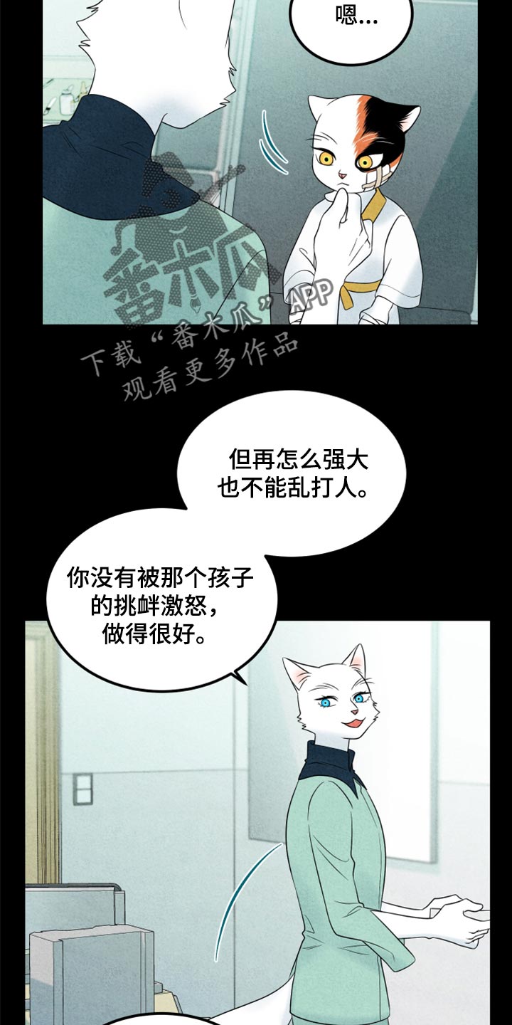 灵猫欧米伽漫画,第70章：【第二季】我想放弃2图