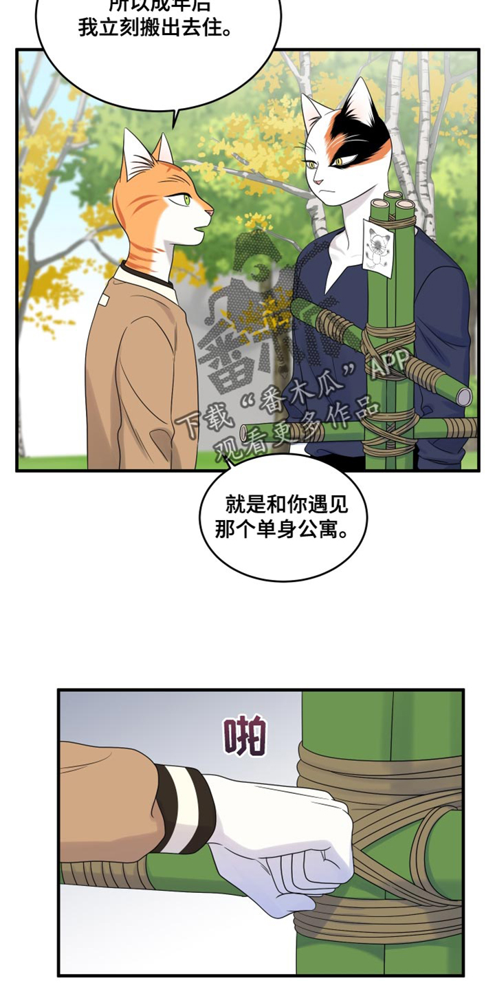 灵猫欧米伽完整版漫画,第98章：【第二季】想回去1图