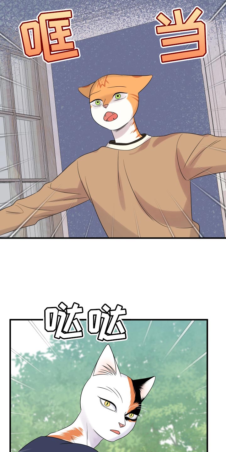 灵猫欧米伽漫画,第97章：【第二季】噩梦2图