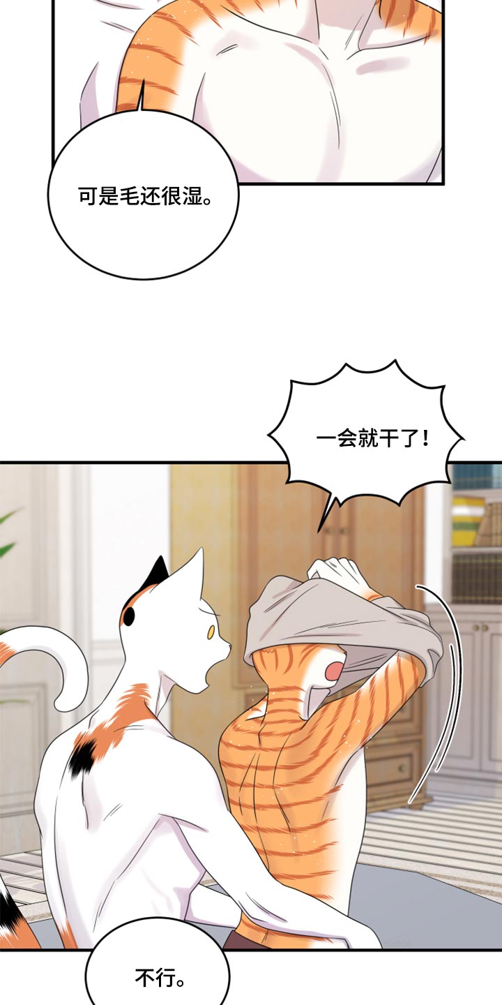 灵猫欧米伽漫画,第90章：【第二季】想得太乐观1图