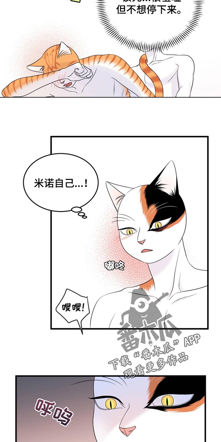灵猫欧米伽漫画,第72章：【第二季】这是折磨啊1图