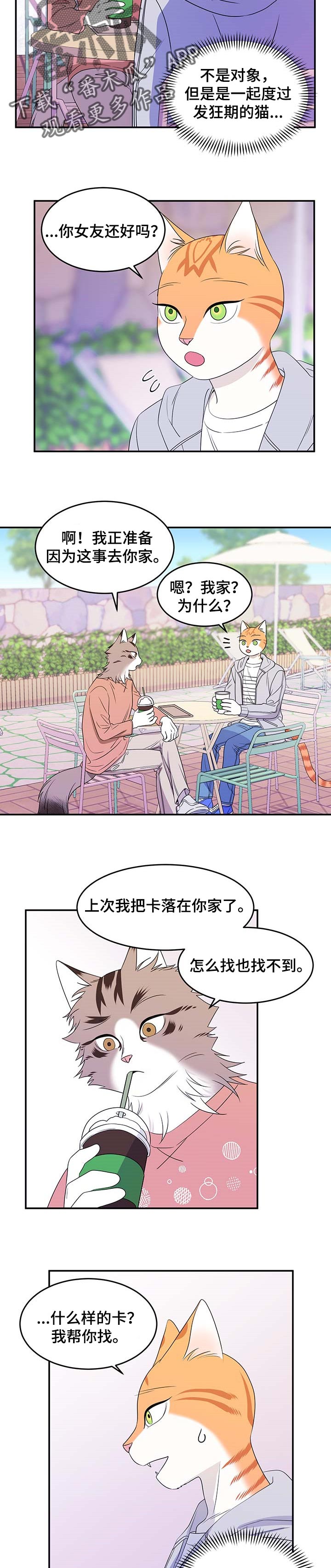 灵猫传下载漫画,第18章：芳香剂1图