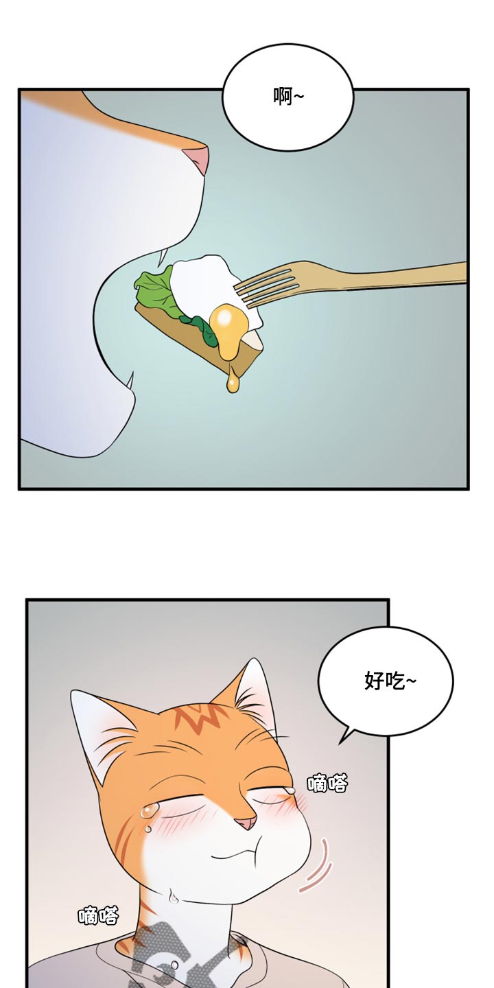 灵猫欧米伽漫画全集免费观看漫画,第67章：【第二季】钓鱼1图