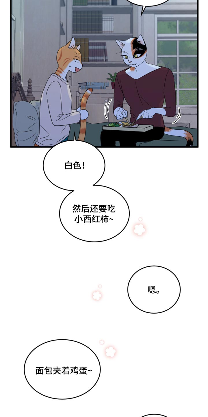 灵猫科和猫科的区别漫画,第67章：【第二季】钓鱼1图