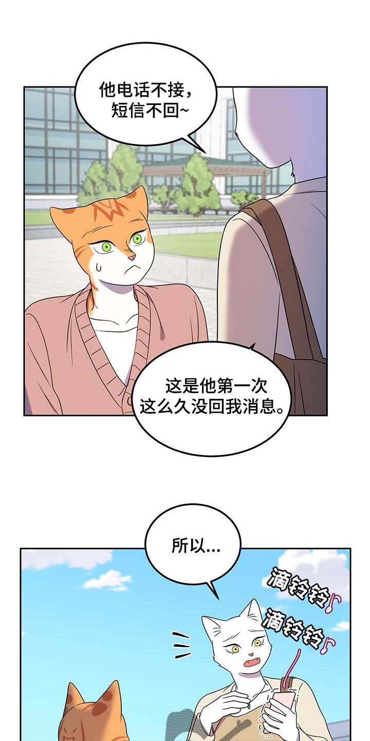 灵猫欧米伽在哪里免费看漫画,第42章：联系方式1图