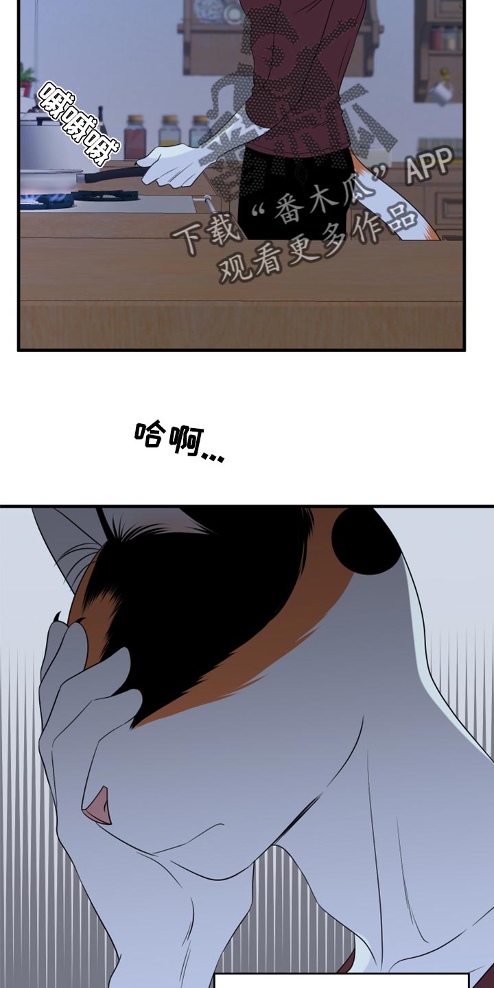 灵猫传汪苏泷漫画,第66章：【第二季】你可以放心了2图