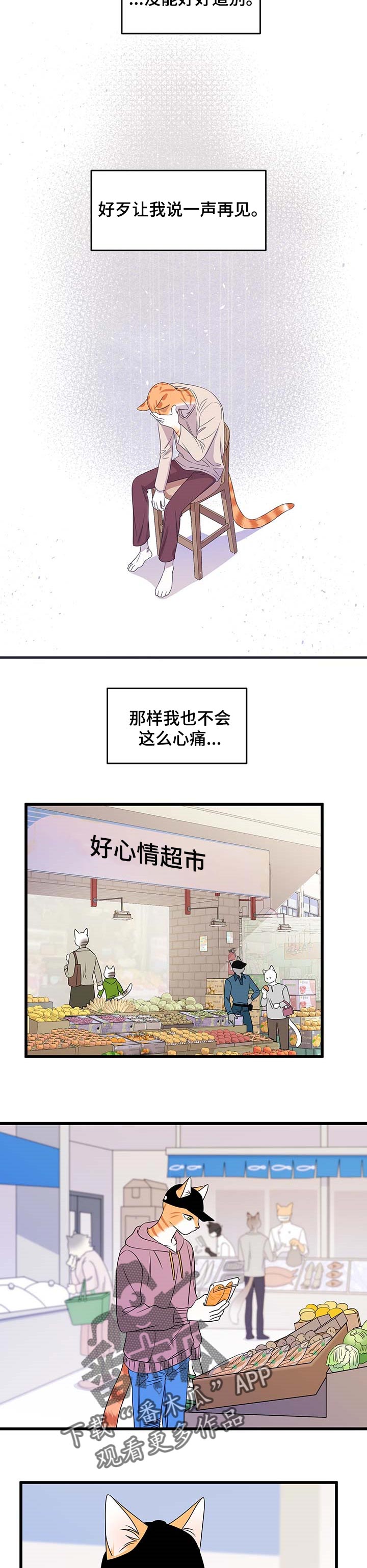 灵猫欧米伽免费阅读漫画,第26章：心痛1图