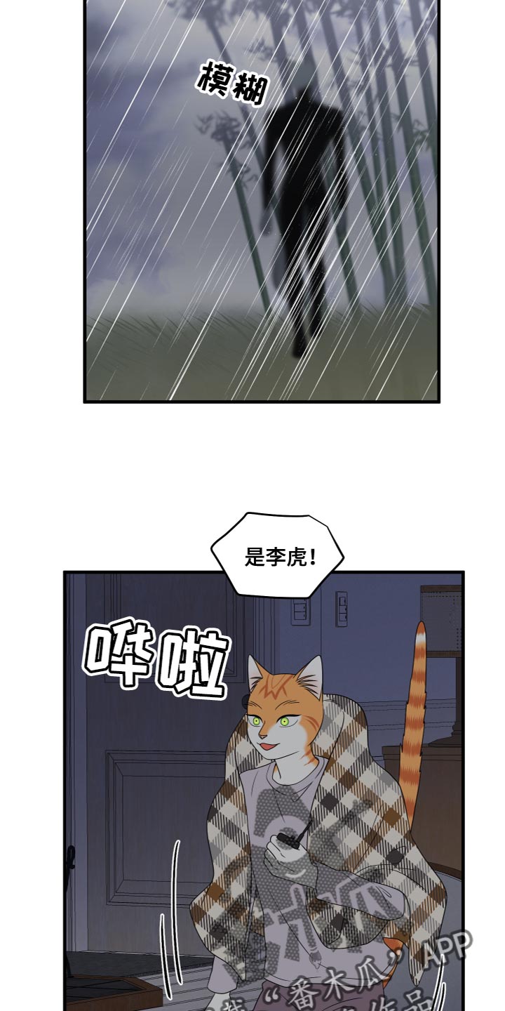 灵猫欧米伽完整版漫画,第110章：【第二季完结】该回家了1图