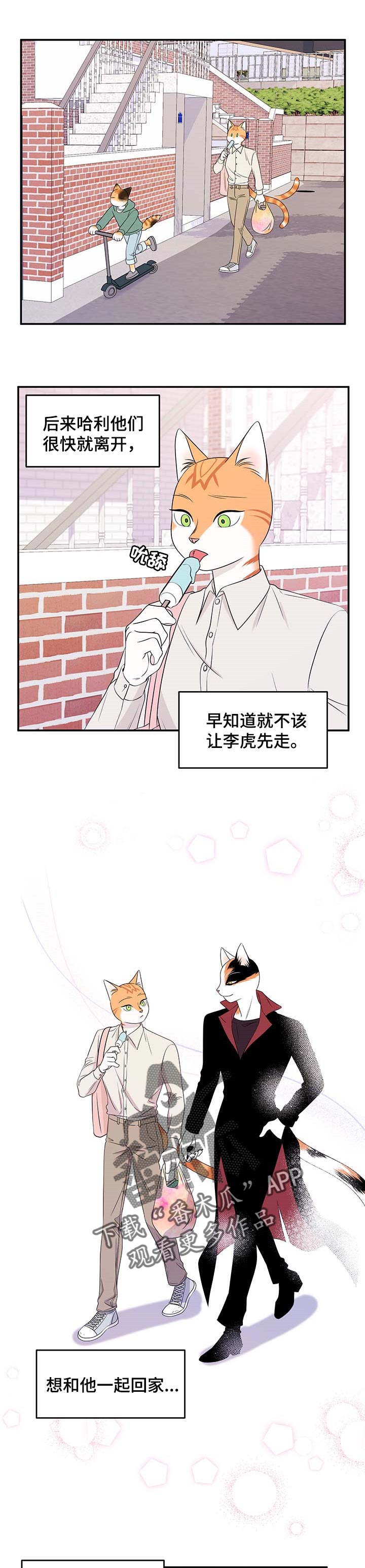 灵猫欧米伽第三季156章漫画,第25章：珍贵2图