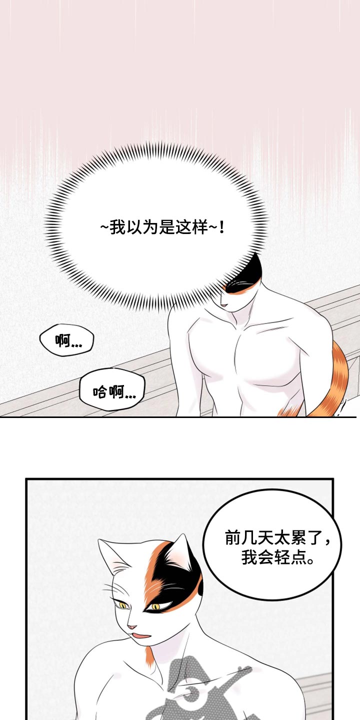 灵猫欧米伽免费版在哪里看漫画,第72章：【第二季】这是折磨啊1图