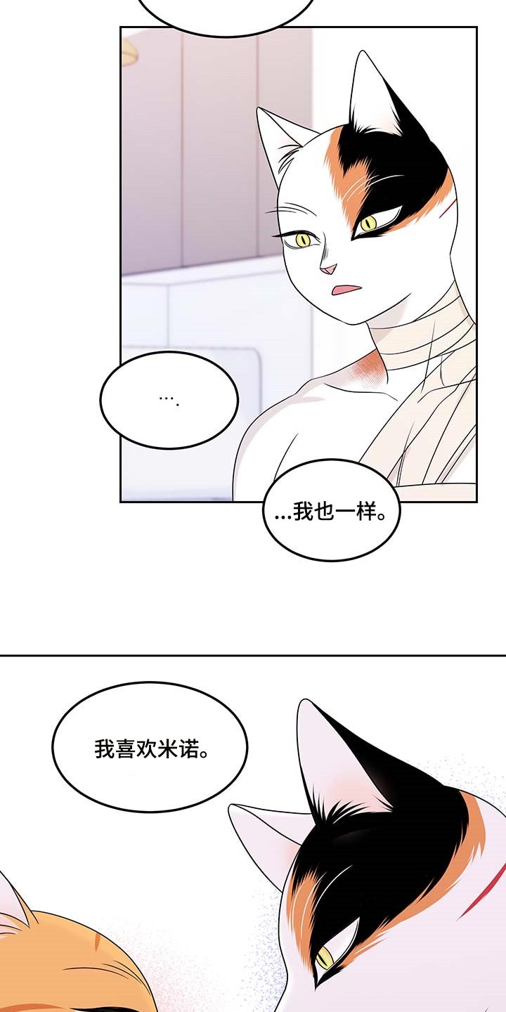 灵猫科和猫科的区别漫画,第46章：征服2图