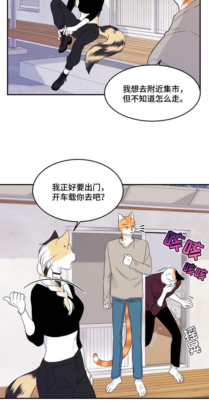 灵猫欧米伽漫画,第54章：【第二季】你要丢下我?1图