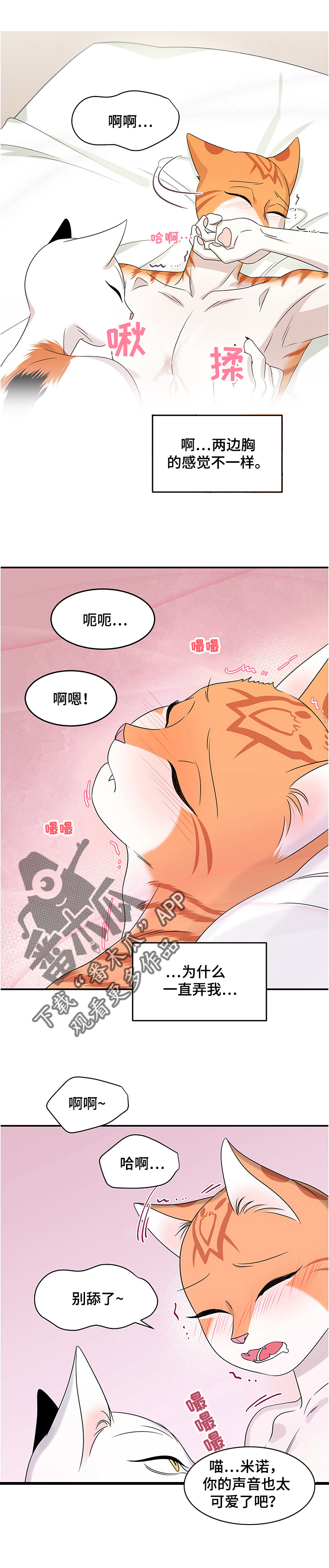 灵猫欧米伽是双男主吗漫画,第12章：义务2图