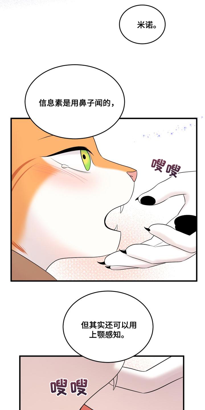 灵猫欧米伽漫画,第104章：【第二季】更重要的事1图