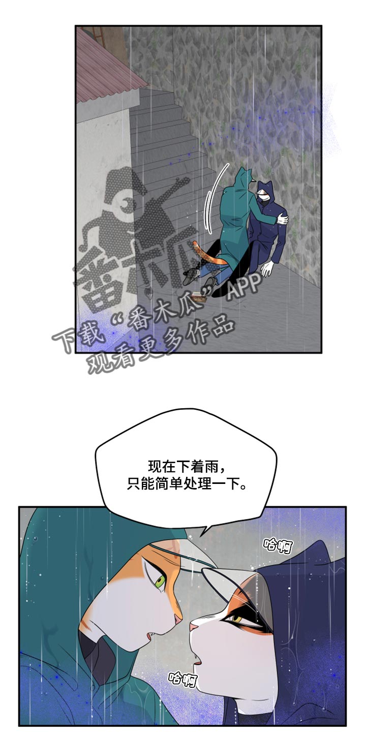 灵猫传汪苏泷漫画,第53章：【第二季】逃跑之路2图