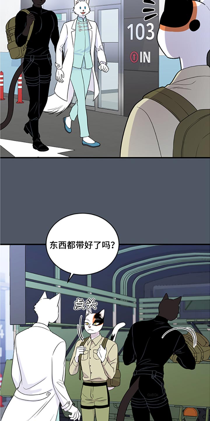 灵猫欧米伽2漫画,第79章：【第二季】傻瓜2图