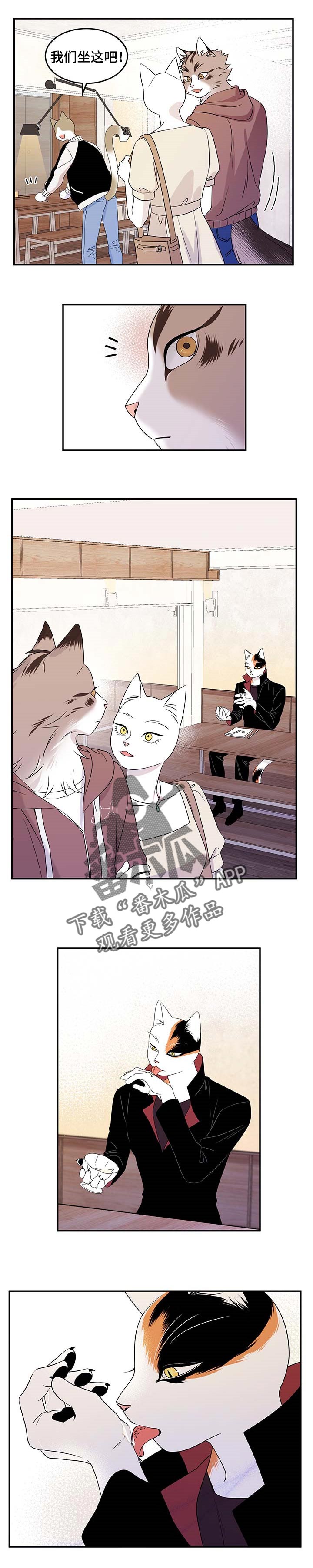 灵猫欧米伽免费阅读漫画,第23章：担心2图