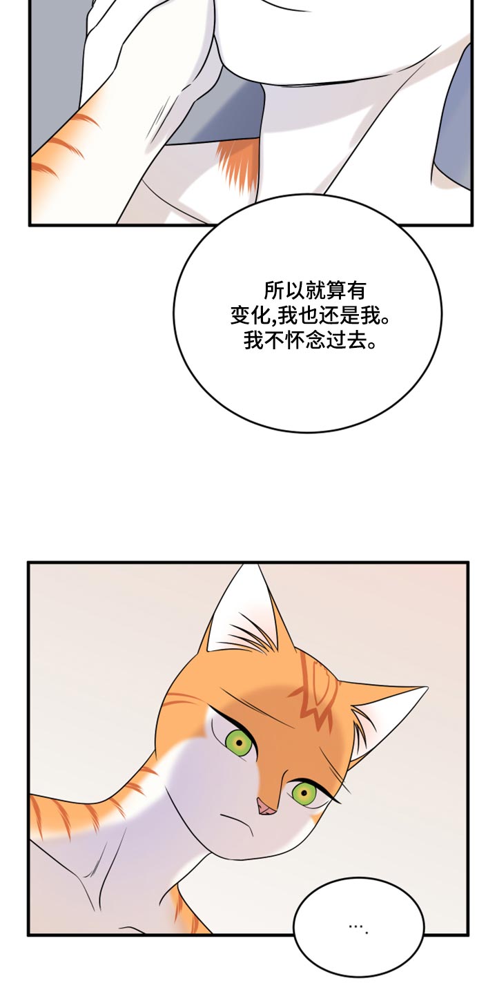 灵猫欧米伽是什么意思漫画,第92章：【第二季】改变的勇气1图