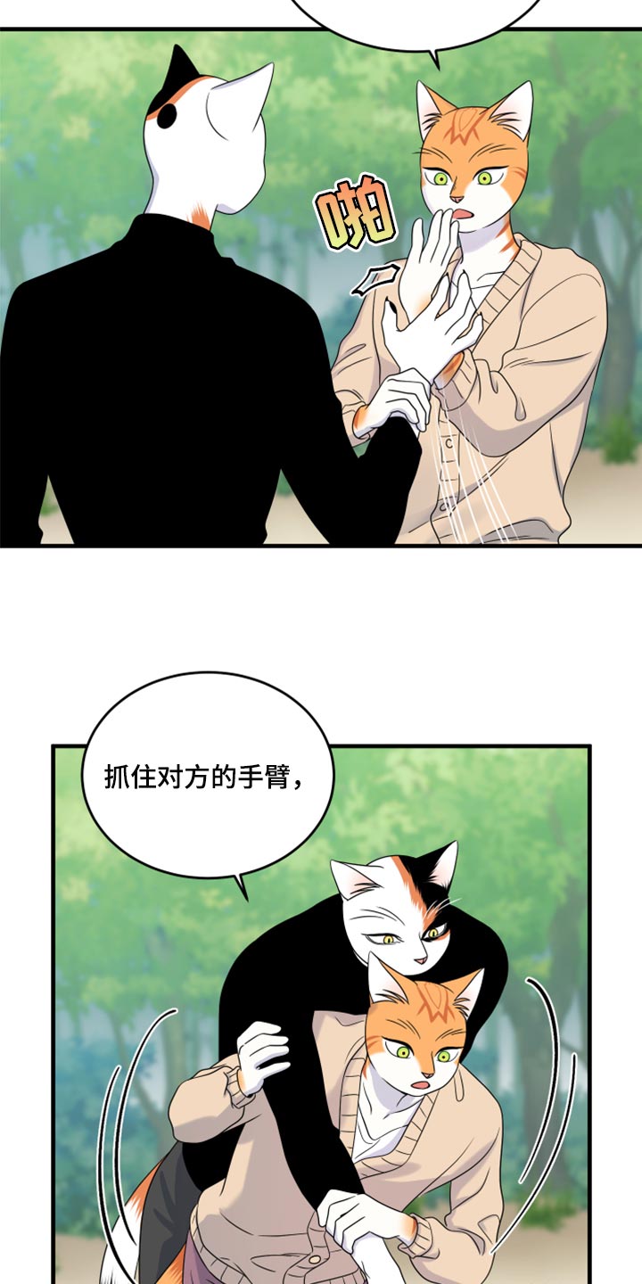 灵猫欧米伽3漫画,第87章：【第二季】学习防身术1图