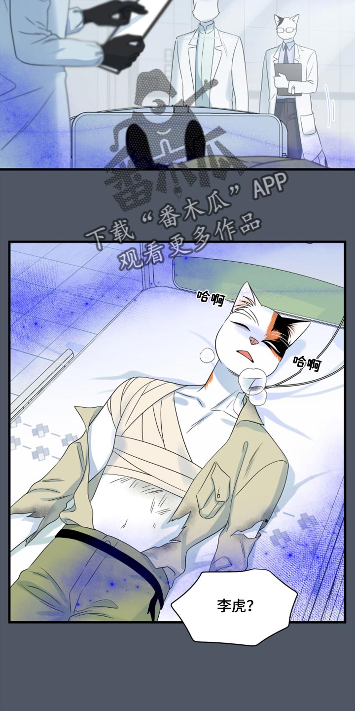 灵猫传汪苏泷漫画,第85章：【第二季】失控1图