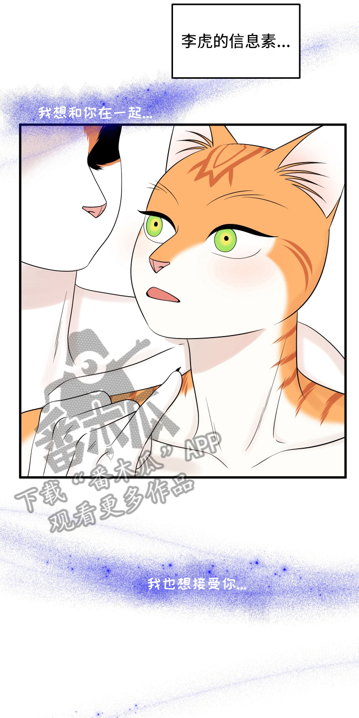 灵猫小说漫画,第106章：【第二季】求婚2图