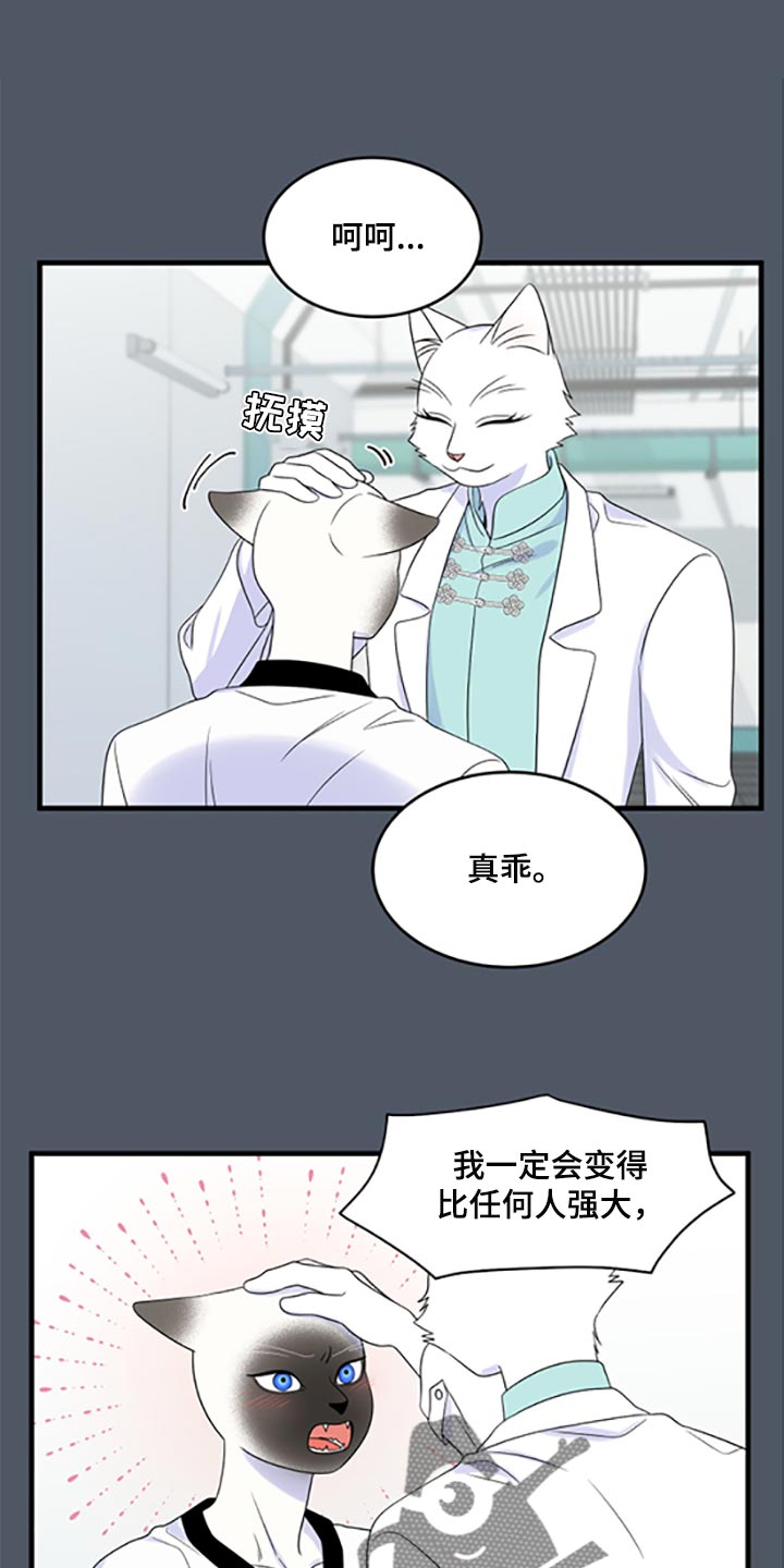 灵猫欧米伽漫画免费阅读漫画,第78章：【第二季】优点也是弱点1图