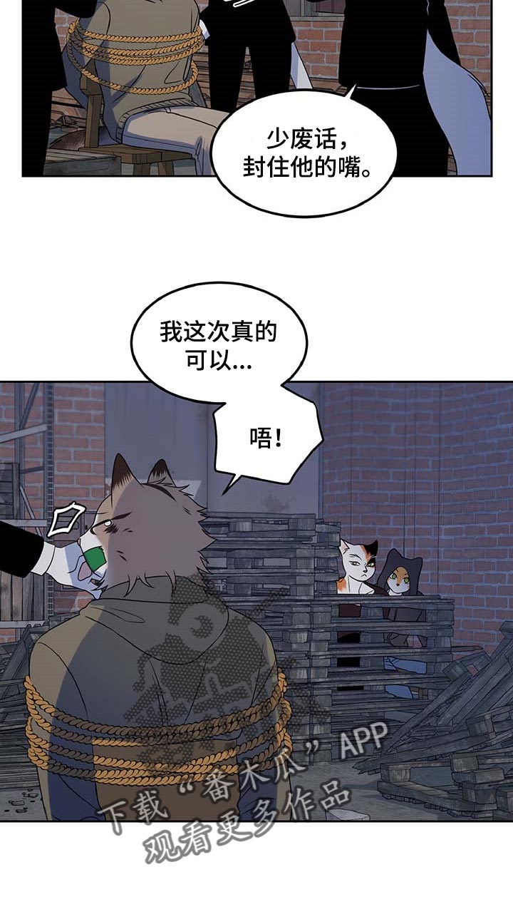 灵猫欧米伽最新话漫画,第37章：我很强的2图