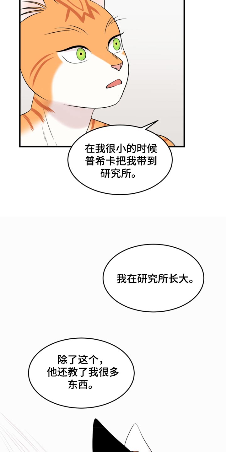 欧米伽3对猫咪有什么作用漫画,第69章：【第二季】责任与义务1图